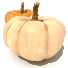 Small Pumpkins 3d Model Pumpkin Small Pumpkins 3d Model