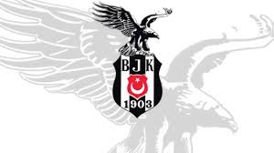 Besiktas Boyama