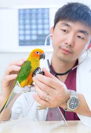 AAV Member Spotlight: Dr. Guoliang (Gavin) Tang