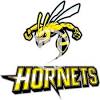 Do not miss heat vs hornets game. 1