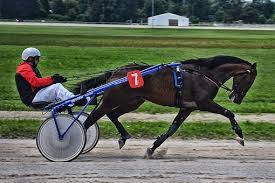 Les demandeurs de fréquences temporaires doivent remplir la. Grand Prix D Amerique 26 01 2020 Meilleur Pronostic