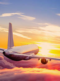 Madison business college and worked for the departmentof motor vehicles. Book A Flight Book Your Flights With Alcabana