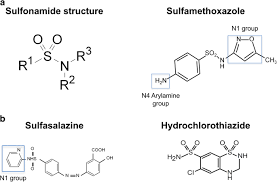 Image result for Sulfonamide