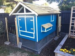 Backyard chickens are quickly becoming a trend and with a smaller, more high quality all in one feed, it was geared towards a specific. Blue On Blue On Blue Kiwi Urban Coop Backyard Chickens Learn How To Raise Chickens