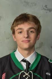 Southwest Michigan Blades