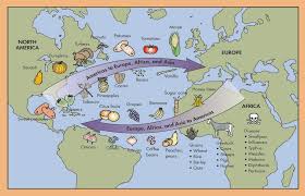 As sailed through the atlantic ocean, he brought sugar plants, horses, and. 4 Transoceanic Interconnections