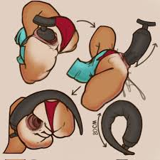 Andrewhitebunny hentai videos, GIFs, and images | R34.app