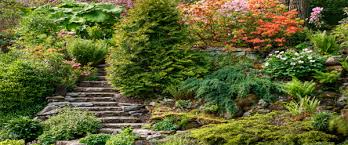 Avec de la matière organique et du gravier, la division des souches et le en montagne, les bouts des tiges vivantes cassent et puis se détachent du plant mère, roulent en bas de la pente et s'enracinent s'ils tombent en terrain propice. Amenager Son Jardin En Pente Comment Gerer Les Contraintes