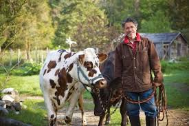 Vechur cows are not prone to mastitis, parasites, or hoof and mouth disease, and they calve easily. Family Cow Provides Delicious Milk Mother Earth News