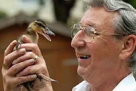 Quacking home for orphans