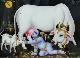 We provide millions of free to download high definition png images. Image Result For Gomatha With Drinking Milk Krishnan Hd Images Baby Krishna Radha Krishna Art Cute Krishna