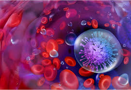 Image result for Hematologic Cancer