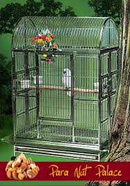 Bird feeder replacement bottles, bases, perches, bee guards, replacement flowers and suction cups. Para Nut Palace Stainless Steel Bird Cage Replacement Parts And Replacement Parts At Bird Cages 4 Less