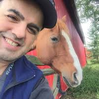 PDF) The Moai Sculptures