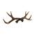 Deer Antler Decor