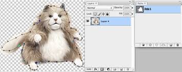 > show import options' to select the artboard specific to the icon i want. Clipping Path Indesign Exploring Clipping Path Asia