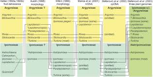 Image result for Astripomoea grantii