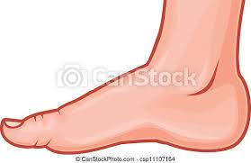Fuss Stehende Human Foot Stehende Abbildung Fuss Vektor Foot Human Canstock