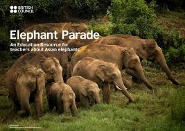 India has the world's largest population of wild asian elephants. Characteristics Of The Asian Elephant And The Wildmontana Org
