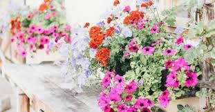Fill them with the smells and tastes of spring and summer cooking to evoke a favorite memory. Build Your Own Wooden Window Box Planters Hometalk