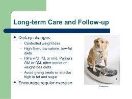 Diabetic Ketoacidosis Presentation