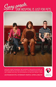 The san francisco spca is dedicated to saving, protecting, caring, and advocating for animals. Sf Spca Hospital Campaign On Behance