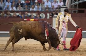 Alejandro Talavante, tres tardes en la feria de San Isidro - Aplausos.es