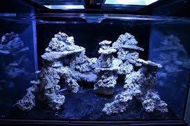Planning ahead is the best way to save money. How To Aquascape A Reef Aquarium From The Top Here Is A Link To My Build Saltwater Aquarium Fish Marine Aquarium Saltwater Fish Tanks