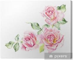 Isolato fiore medico e foglie. Quadro Su Tela Cespuglio Di Rose Modello Da Rosa Rosa Disegni Di Nozze Pittura Ad Acquerello Biglietti D Auguri Sfondo Rosa Composizione Ad Acquerello Sfondo Di Fiori Pixers Viviamo Per Il