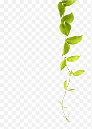 I wanted to get my hands wet with some props too, so i made some things like the incense props and the katana. Vine Green Vines Green Leafed Plant Leaf Branch Png Pngegg