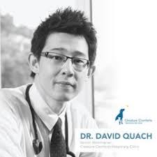 Managing Covid-19 Stress with Pets