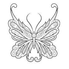 Pin En Mariposas