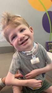 Cat with missing tooth and snarl photo discussion