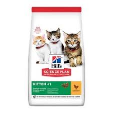 Yavru Kedi Mamasi En Iyi Yavru Kedi Mamasi Markamama