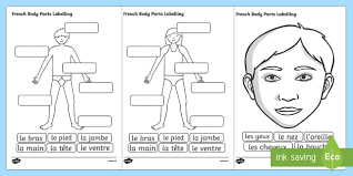 Use the word bank below and fill in the action. French Body Parts Labeling Worksheet Teaching Body Parts Twinkl