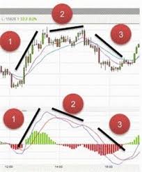 Forexlive Forex Zim Rate Forex For Beginners By Anna