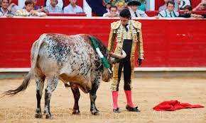 Alejandro Talavante se retira de los ruedos por "tiempo indefinido" - El  Digital de Albacete