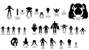 Halo Species Size Chart Halo