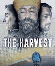 Truffa, interdetto il neurochirurgo