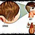 Bit Ve Sirke Nasil Temizlenir Sleep Eye Mask Person Beauty