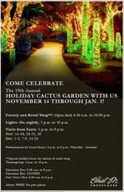 Grizzly bear cactus (opuntia erinacea var. Ethel M Chocolates Begins 19th Annual Holiday Cactus Garden Jockey Club Las Vegas Jockey Club Las Vegas