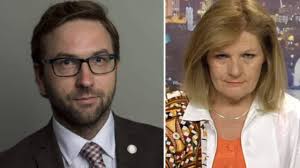 Fredrik Malm: SVT och Cecilia Uddén gör reklam för IS-kalifatet : r/sweden