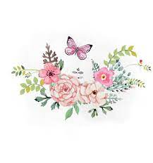 Pin On Flower