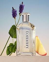 Amazon.com: Tommy Hilfiger Tommy Eau de Toilette, For Men, 50ml / 1.6 fl.oz  : Beauty & Personal Care