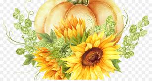 Sedang mencari kosakata bahasa inggris baru? Desain Bunga Bahasa Inggris Marigold Umum Bunga Matahari Gambar Png