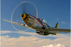 P-51 Rides Bridgeport CT