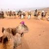 Book a room at pushkar camel safari and camp, india. Https Encrypted Tbn0 Gstatic Com Images Q Tbn And9gcspqgetyftkuuasygooy2f9qajtzmoriotmdztwah5lce3css19 Usqp Cau
