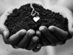 Hal ini dikarenakan pohon gaharu mampu menghasilkan kayu yang terjual sangat mahal. Kondisi Untuk Pembentukan Tanah Chernozem Kesempurnaan Alami Dari Tanah Hitam