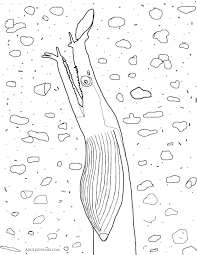 Marine Fish Fascinating Ocean Dwellers Ben je helemaal hierheen gescrold om over blue ribbon eel pdf te lezen? marine fish fascinating ocean dwellers