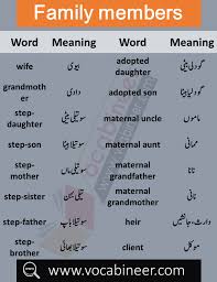 Relationship And Family Vocabulary With Urdu Meanings Vocabulary Vocabulary List Learn English